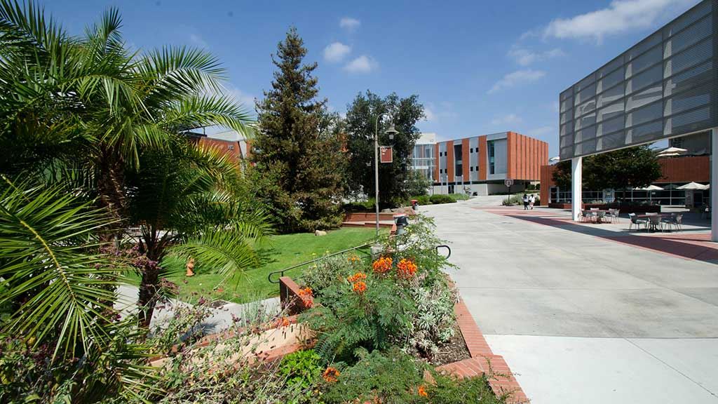 Palomar Campus Palomar Campus